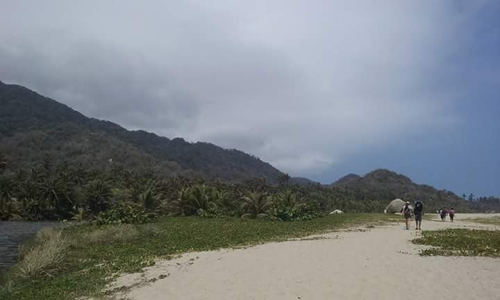 Microscopy Sample Wa0006