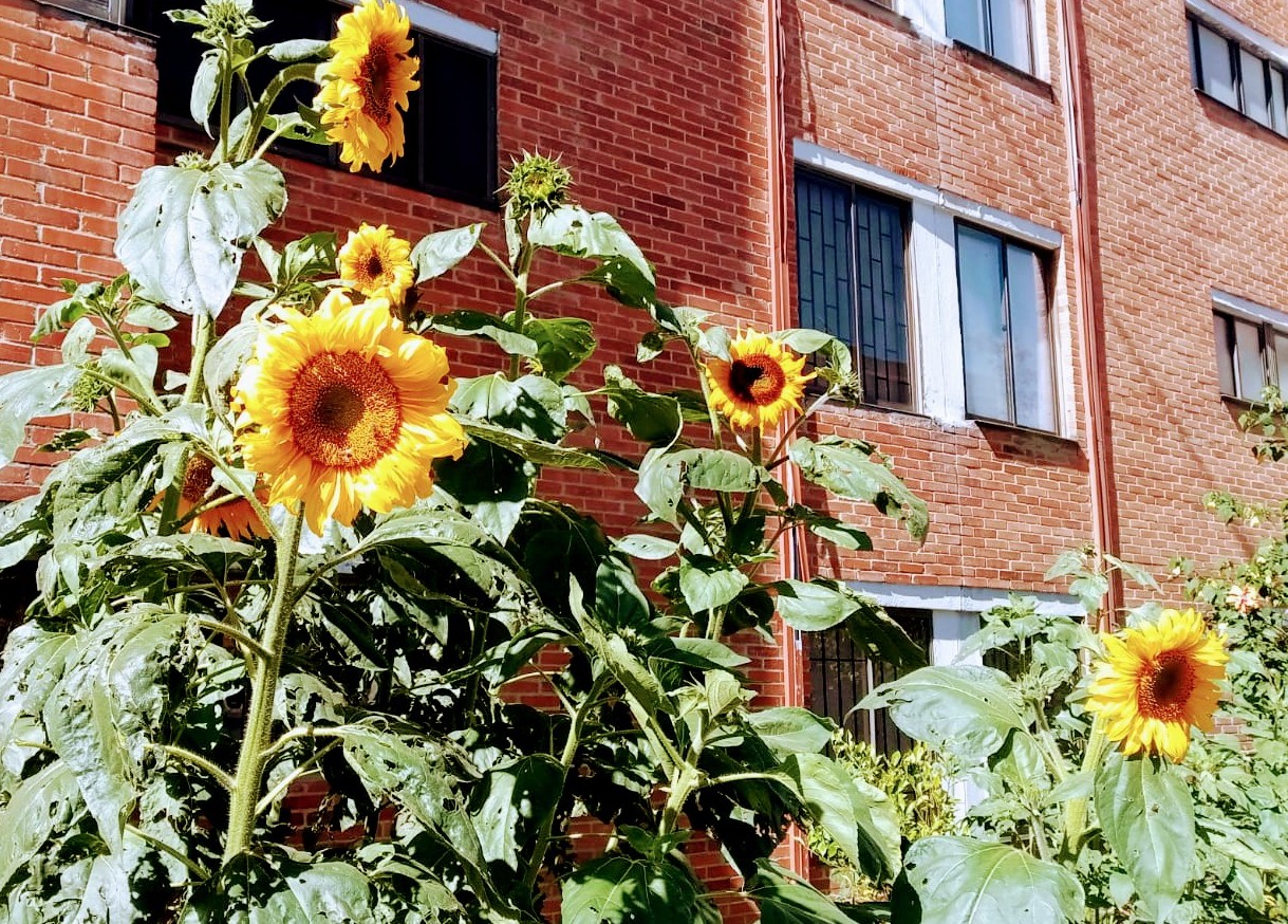 Microscopy Sample Wa0004~3