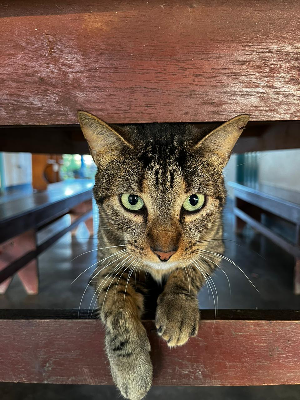 Microscopy Sample Wa0017