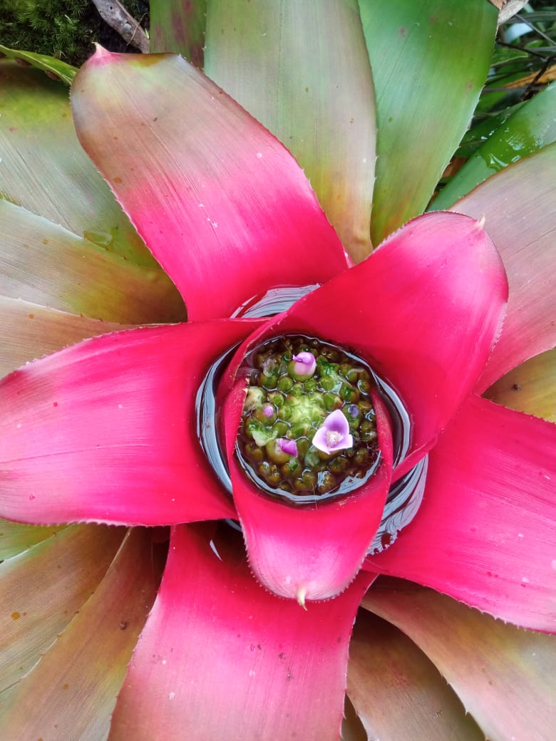 Microscopy Sample Wa0014