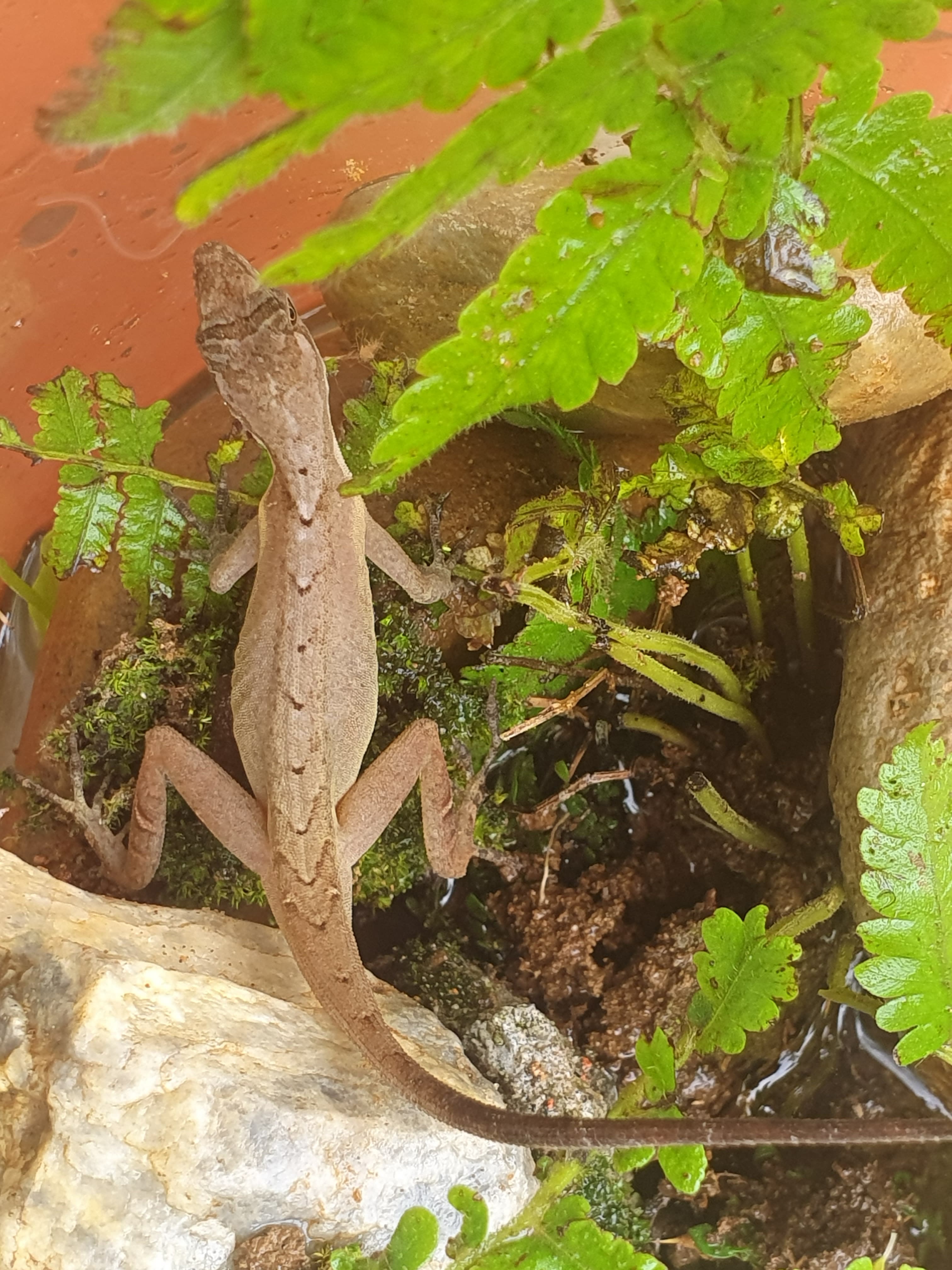 Microscopy Sample Wa0022